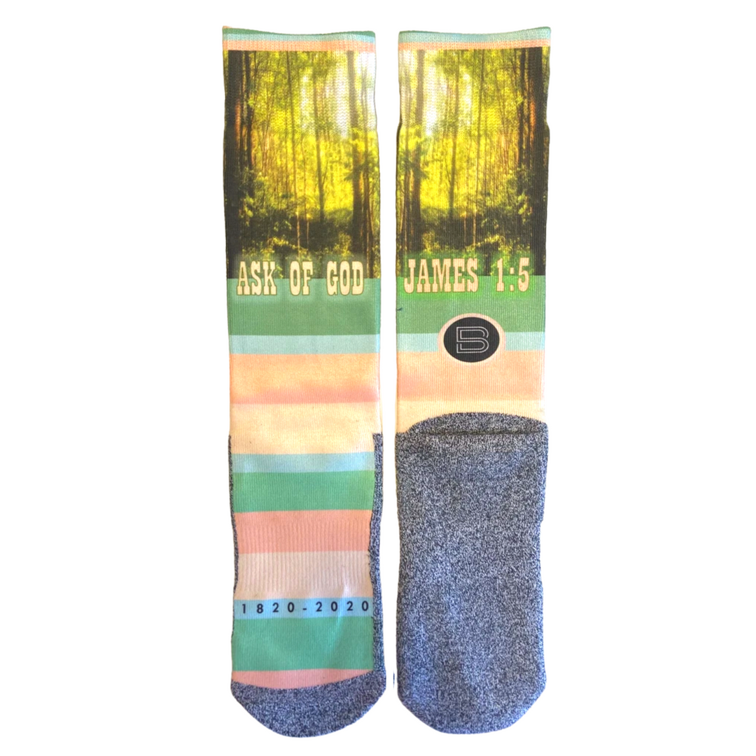 The Sacred Groves LDS Themed Scripture Socks by BOMSocks