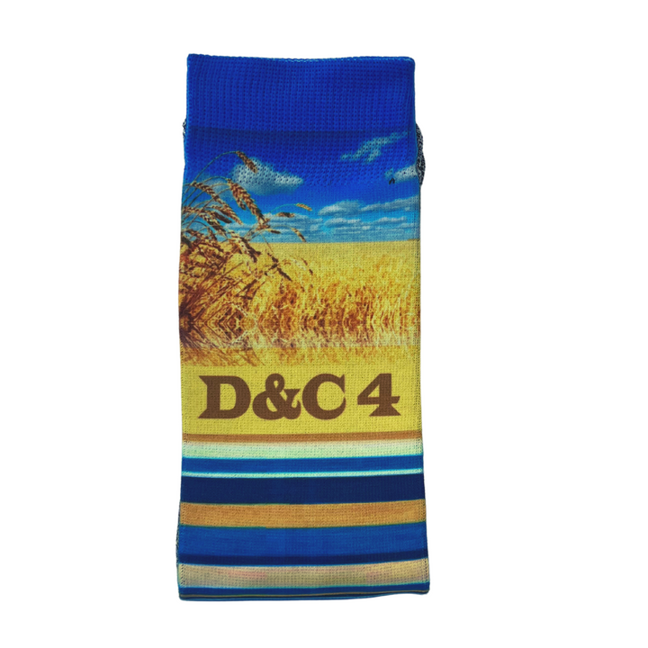 A Marvelous Work (D&C 4)