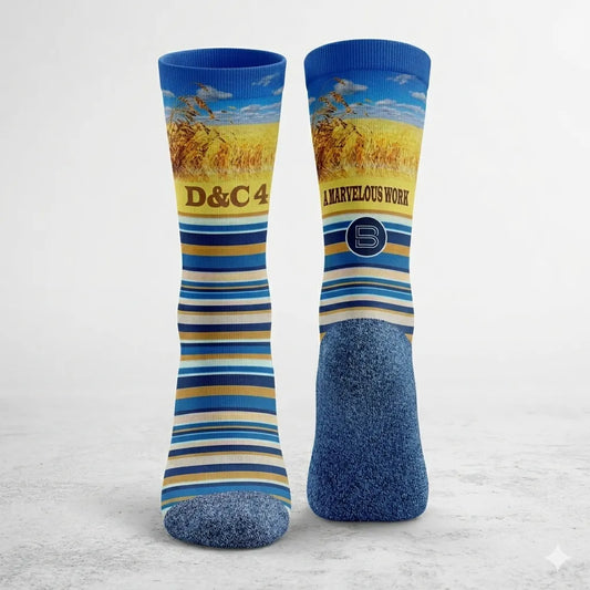 A Marvelous Work (D&C 4)