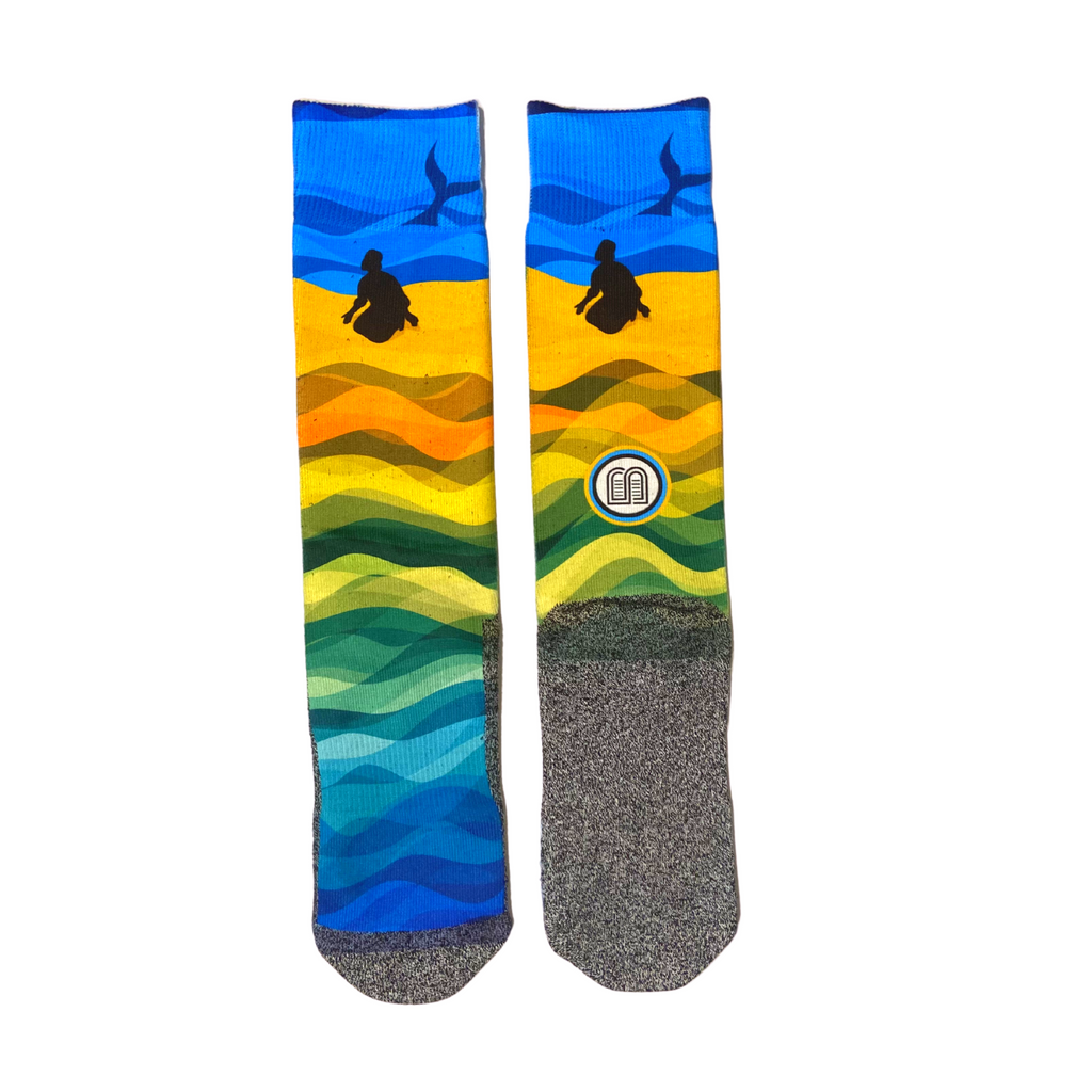 Jonah and the Whale LDS Scripture Bible Themed Socks by BOMSocks