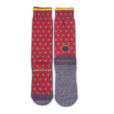 The Wi-Fi's LDS Themed Book of Mormon Scripture Church Socks by BOMSocks